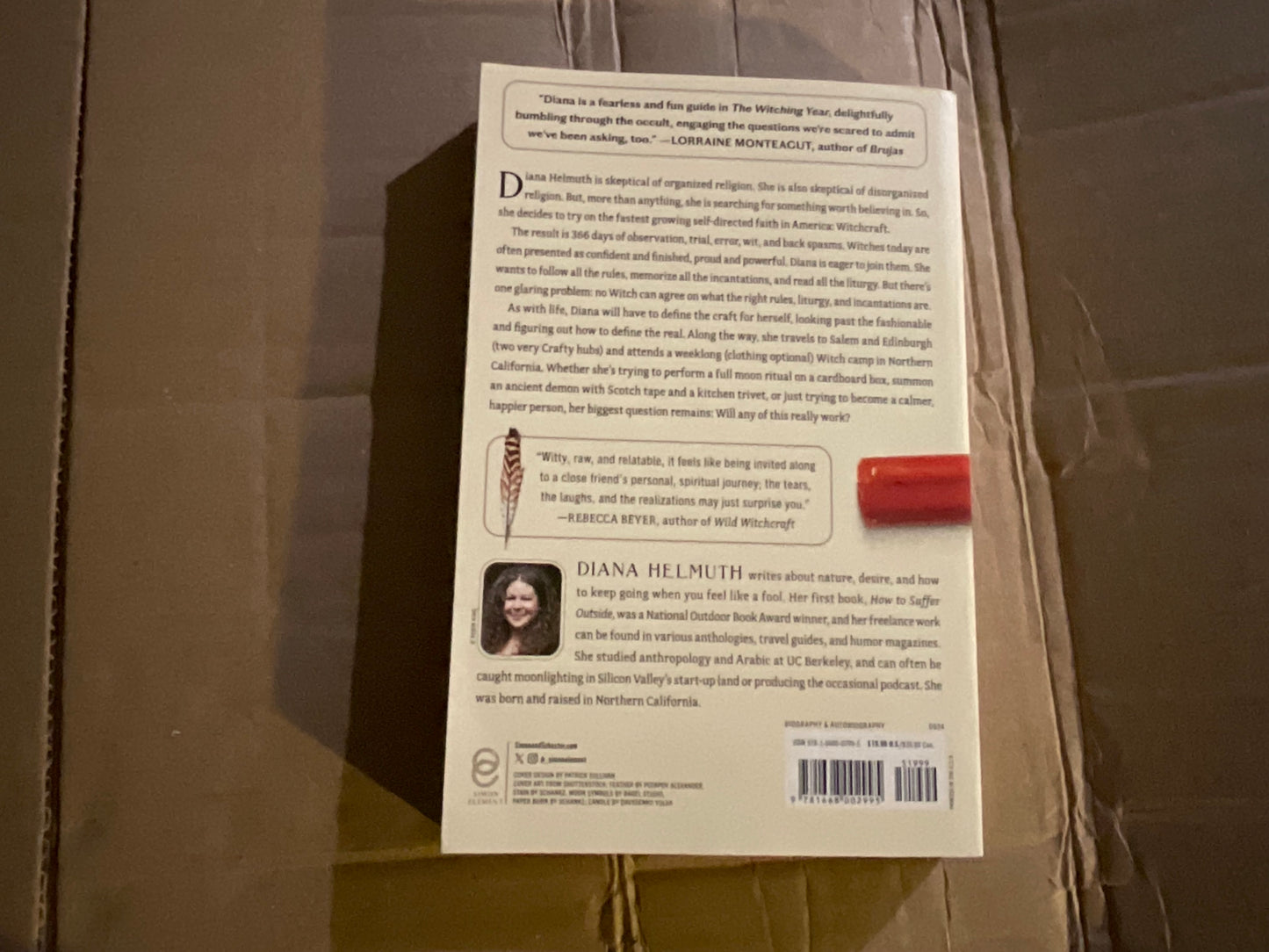 The Witching Year: A Memoir of Earnest Fumbling Through Modern Witchcraft by Diana Helmuth