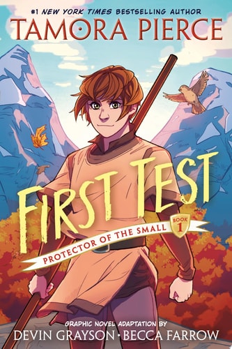 First Test Graphic Novel (A Graphic Novel)