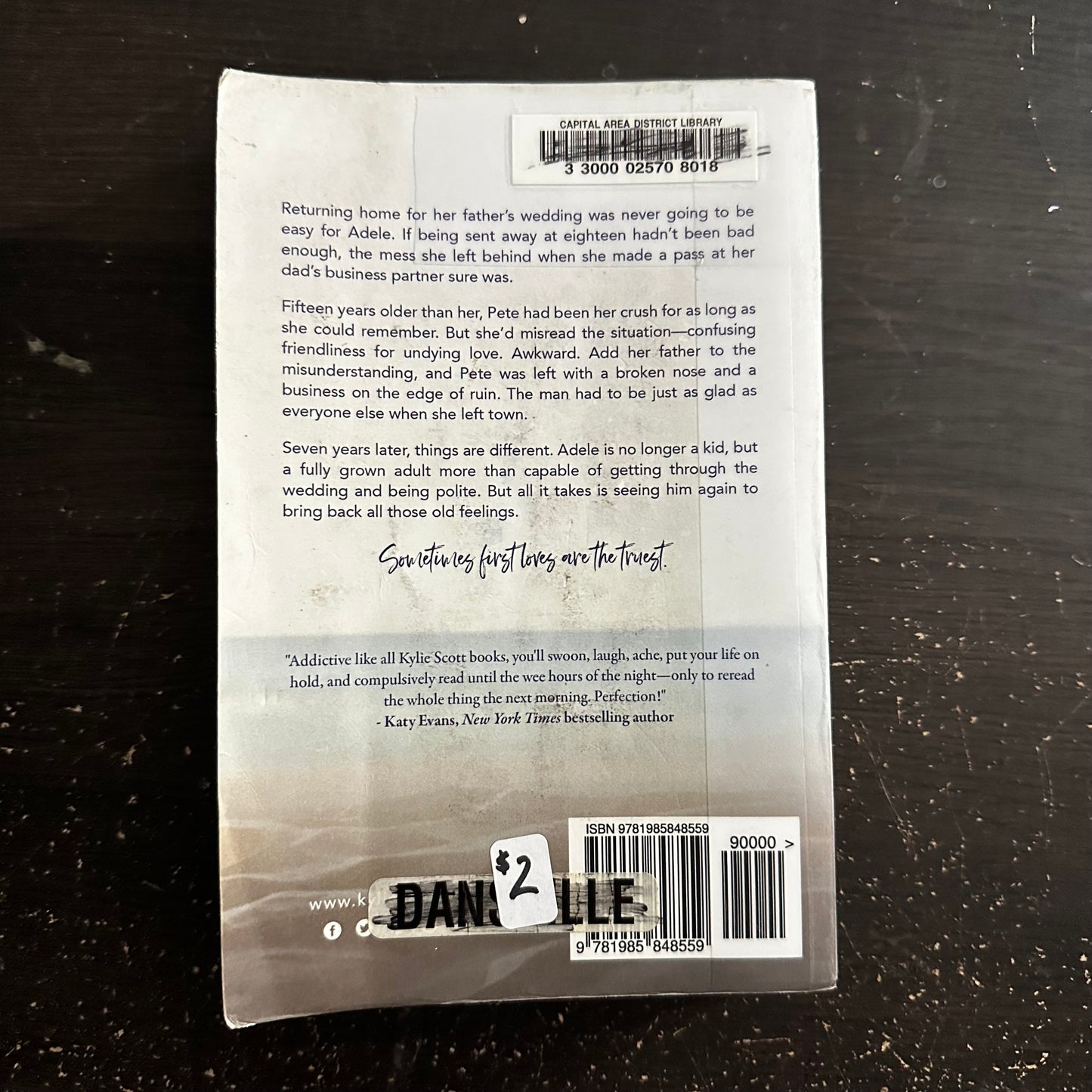 It Seemed Like a Good Idea at the Time by Kylie Scott