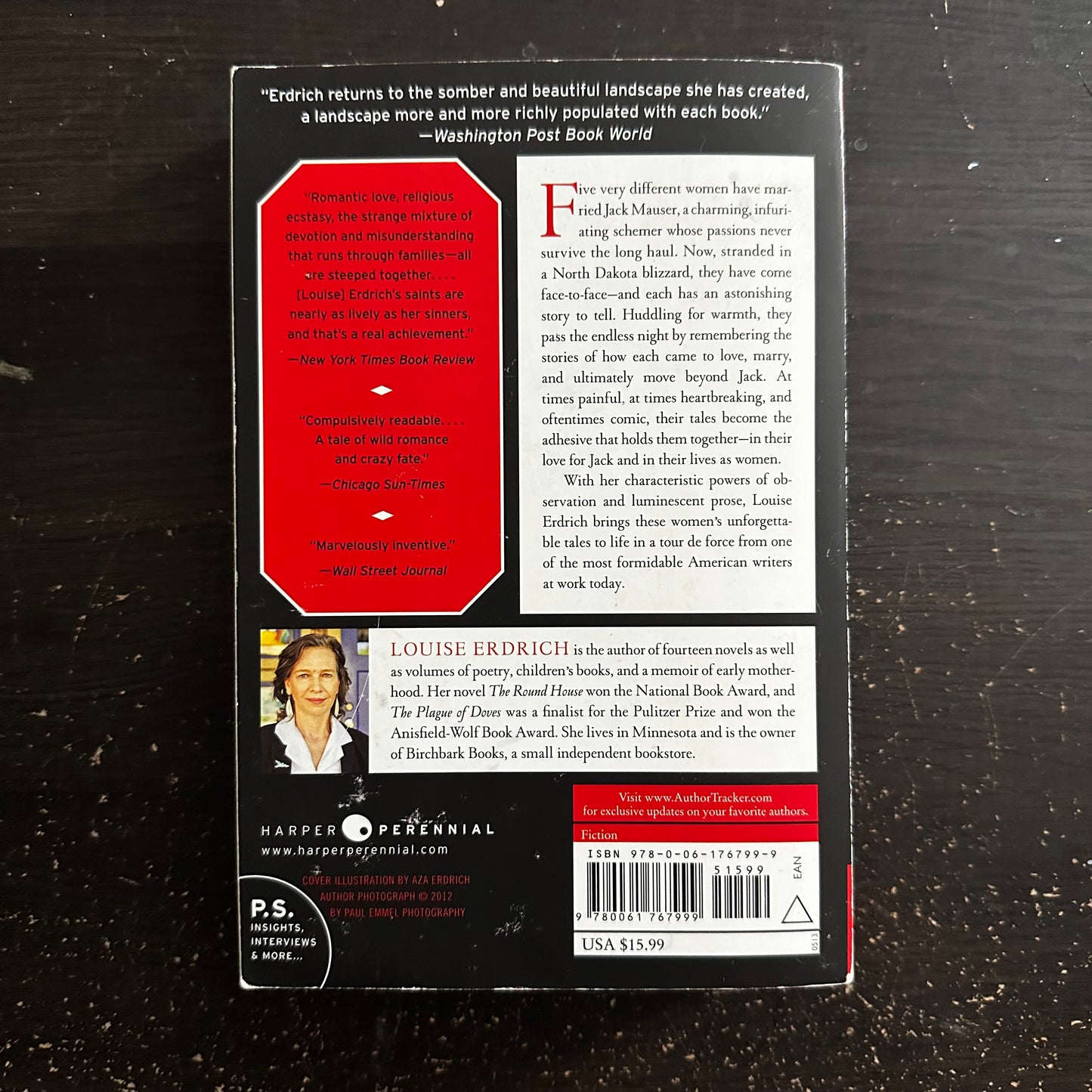 Tales of Burning Love by Louise Erdrich