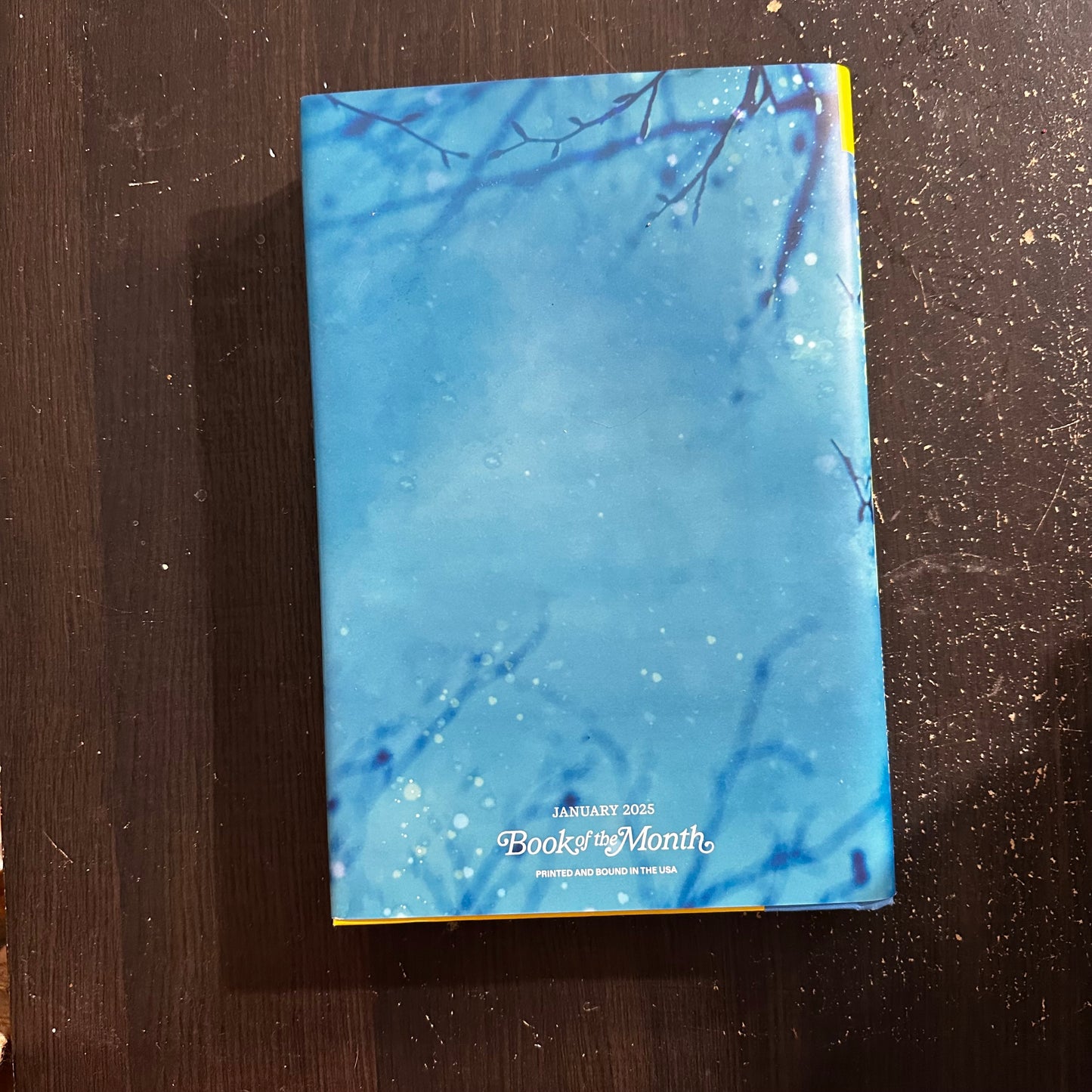 A Killing Cold by Kate Alice Marshall