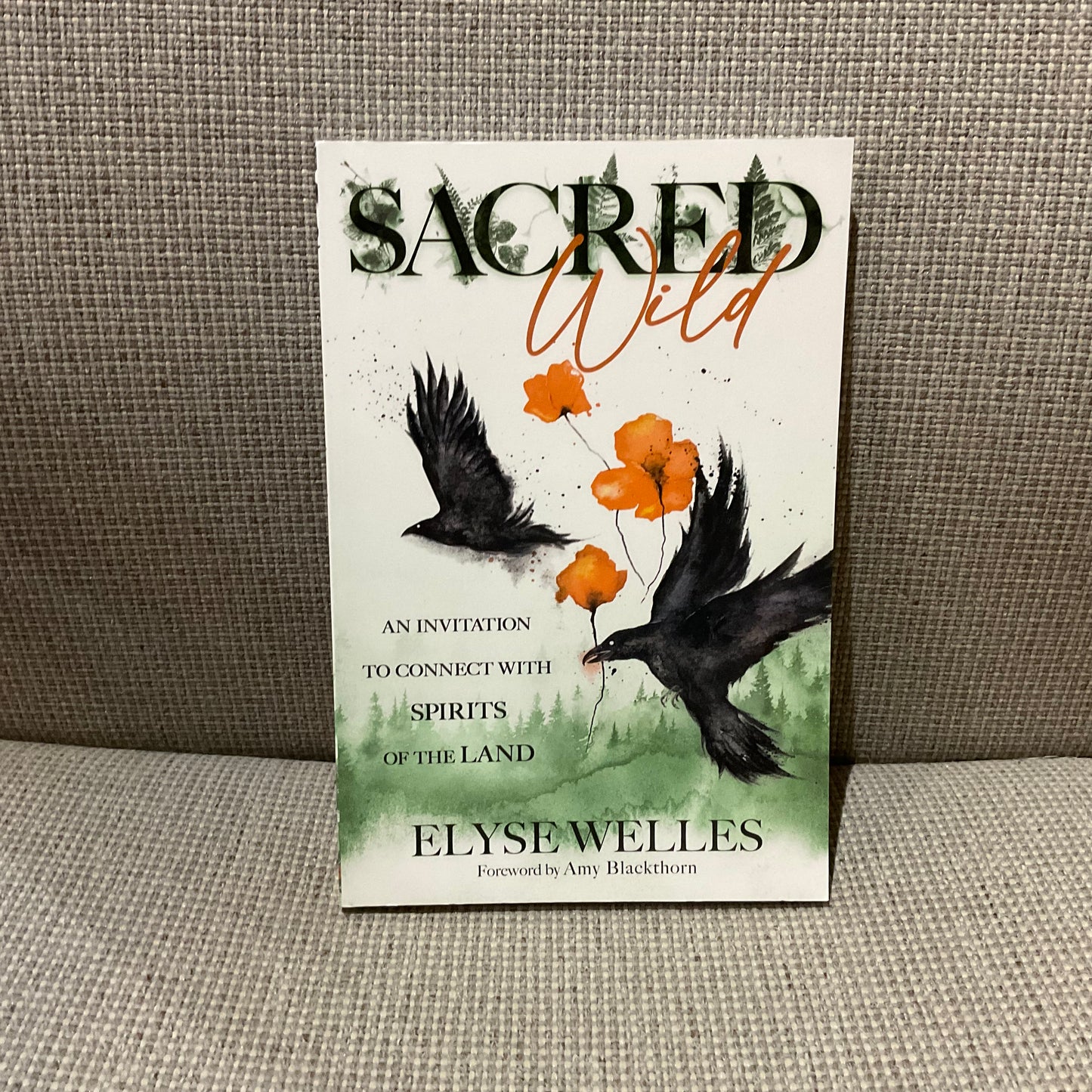 Sacred Wild by Elyse Welles