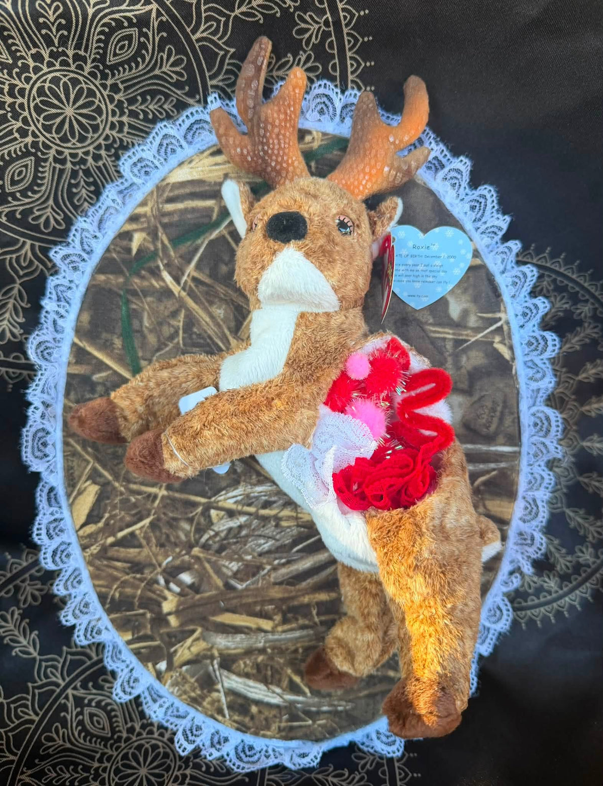 Vegan Taxidermy Class