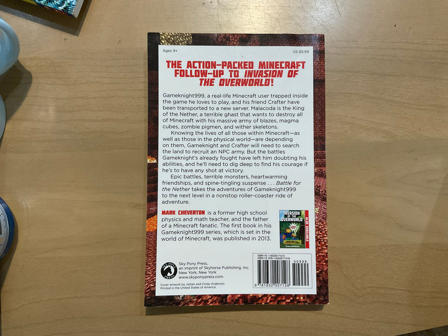 Battle for the Nether by Mark Cheverton