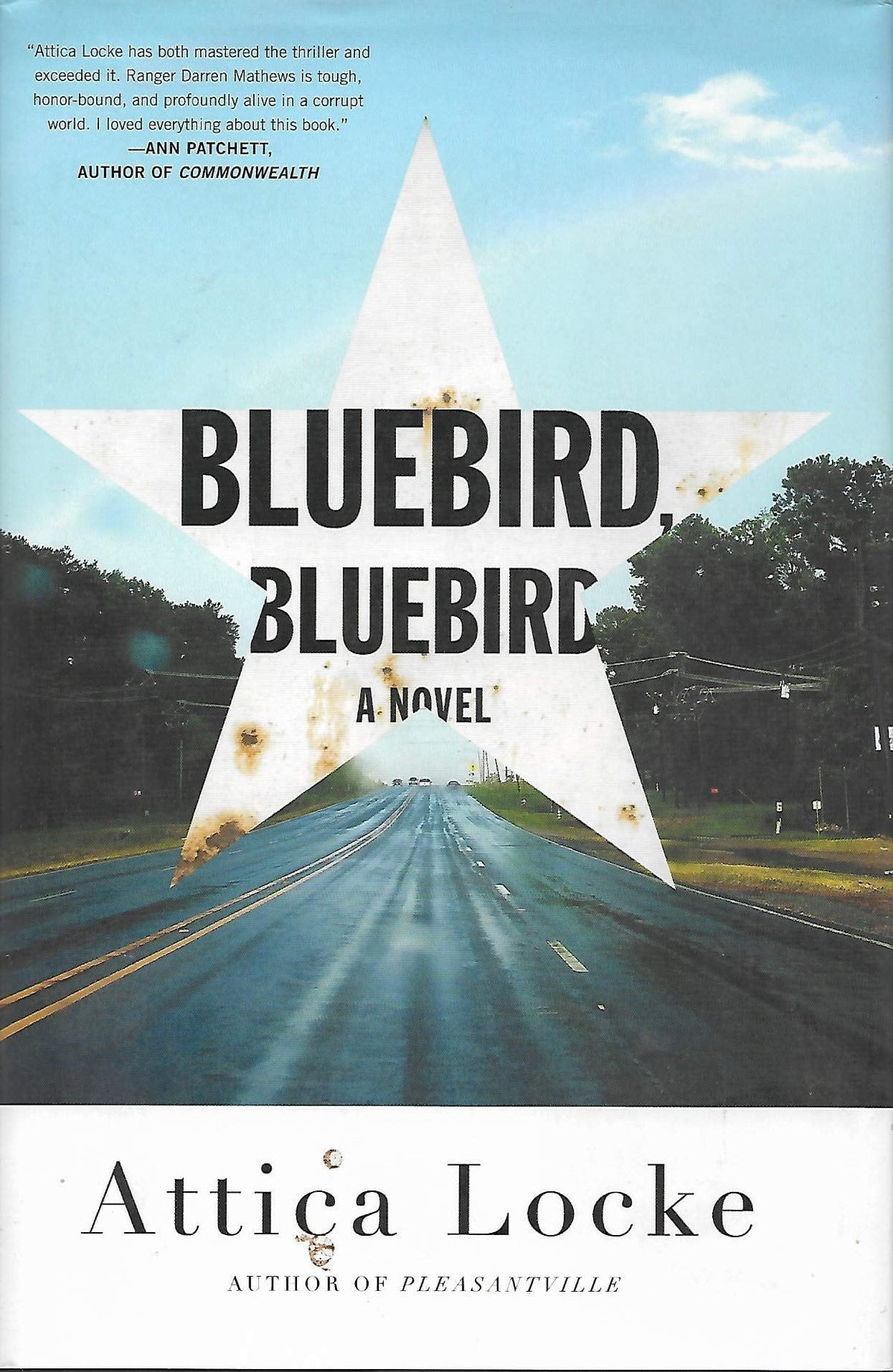 Bluebird, bluebird: a novel