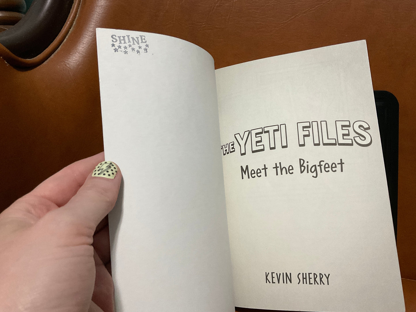 The Yeti Files: Meet the Bigfeet by Kevin Sherry