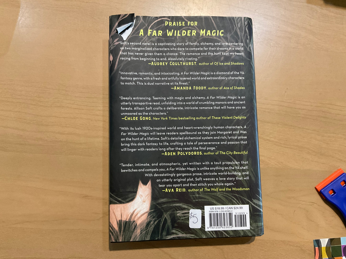 A Far Wilder Magic by Allison Saft