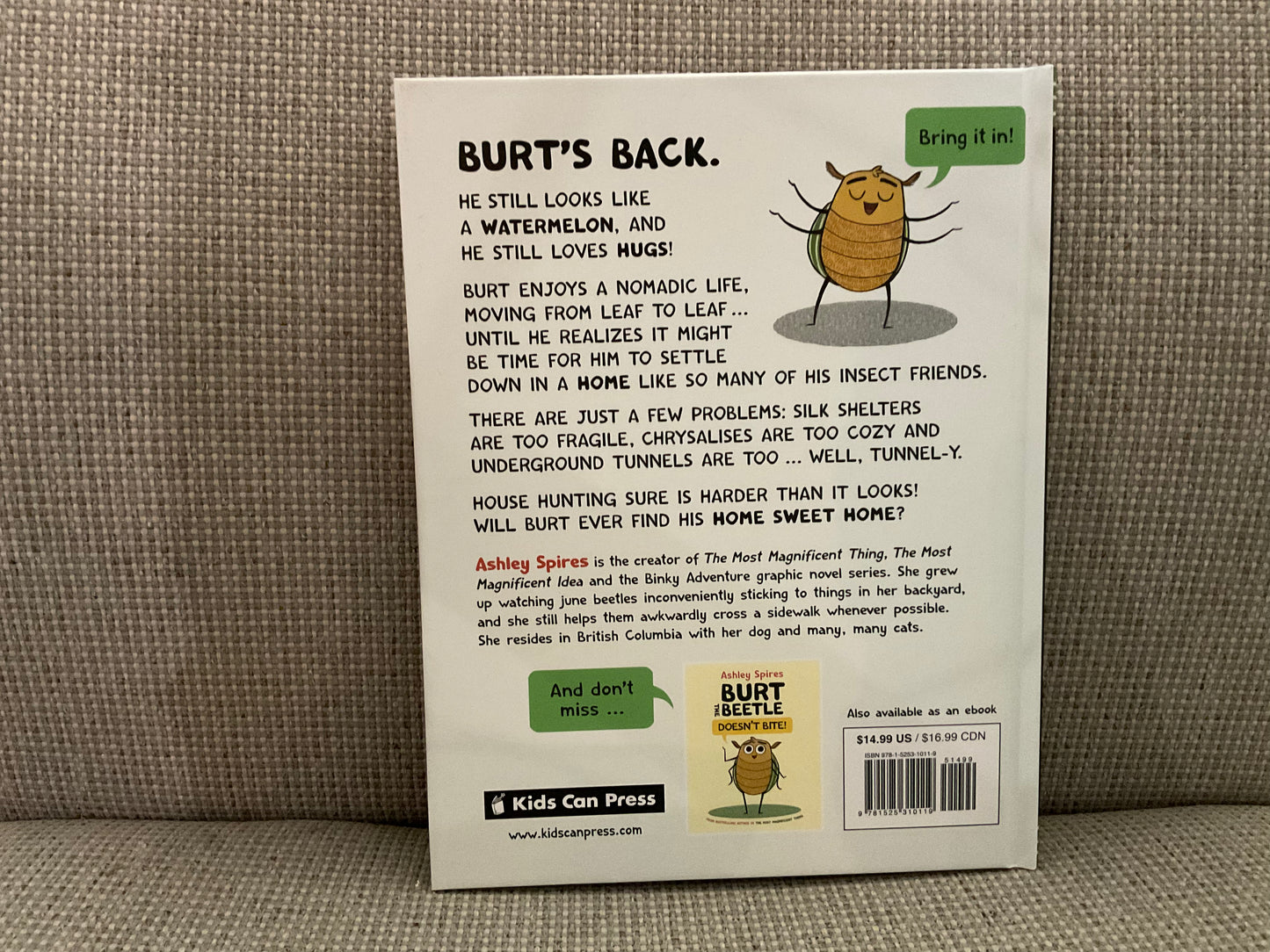 Burt the Beetle Lives Here by Ashley Spires