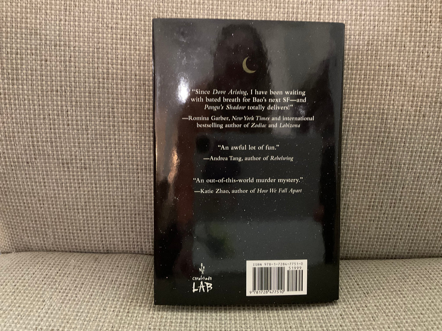 Pangu’s Shadow by Karen Bao