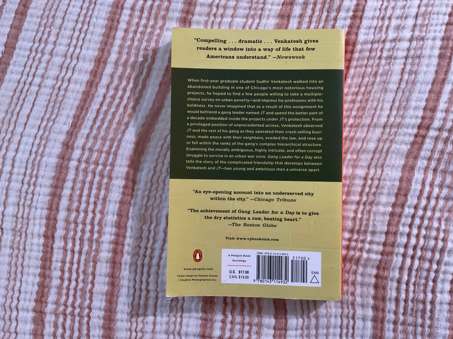 Gang Leader for a Day by Sudhir Venkatesh