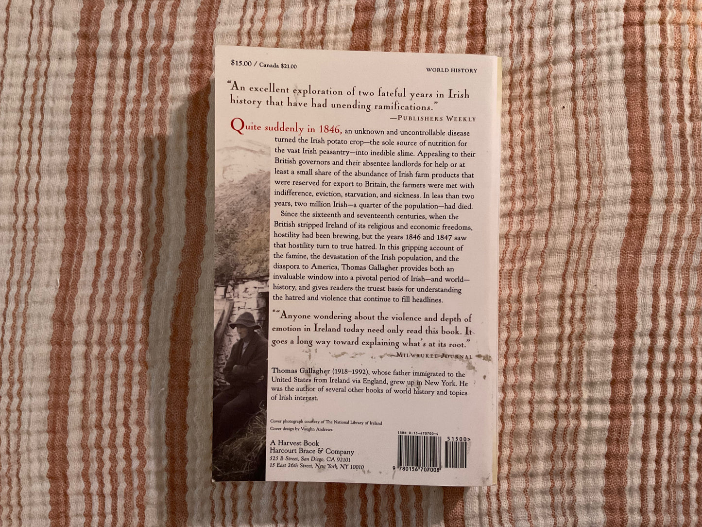 Paddy’s Lament by Thomas Gallagher