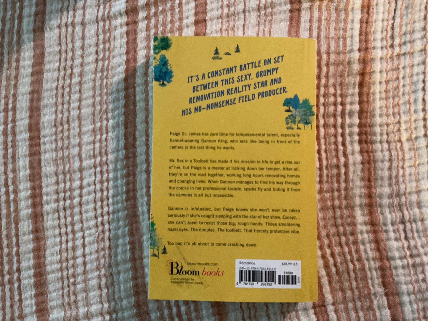 Mr Fixer Upper by Lucy Score