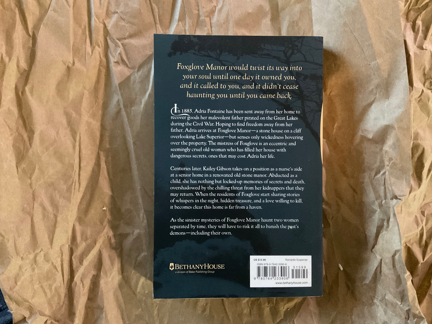 On the Cliffs of Foxglove Manor by Jaime Jo Wright