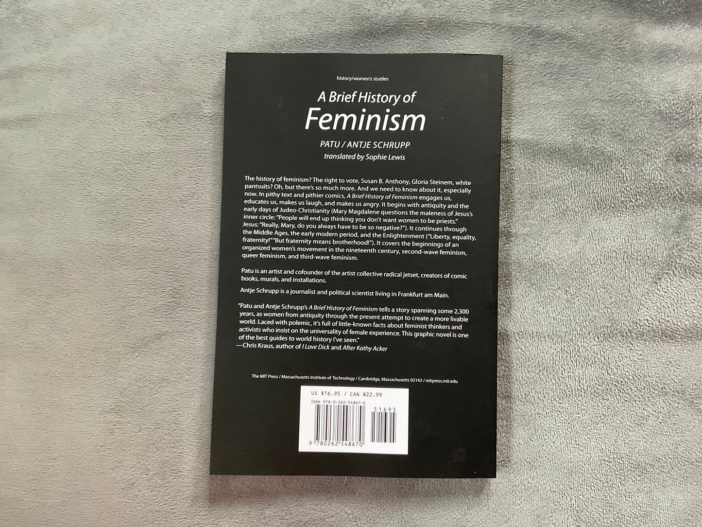 A Brief History of Feminism by Patu/Antje Schrupp