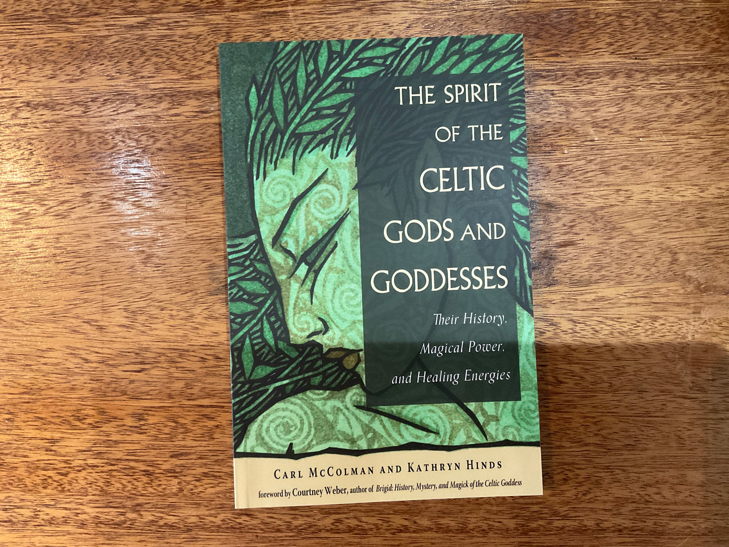 The Spirit of the Celtic Gods and Goddesses by Carl McColman and Kathryn Hinds
