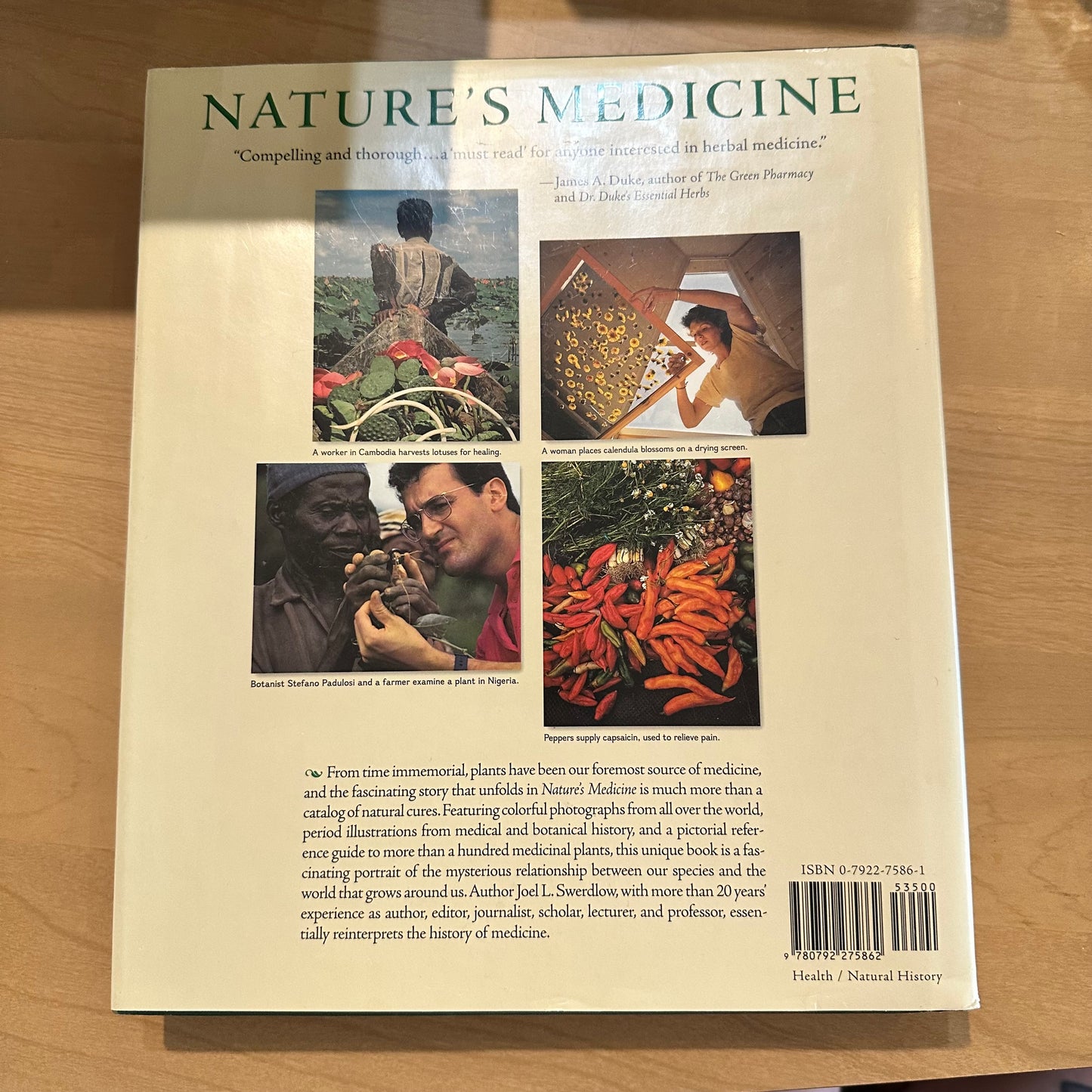 Nature's Medicine: Plants That Heal