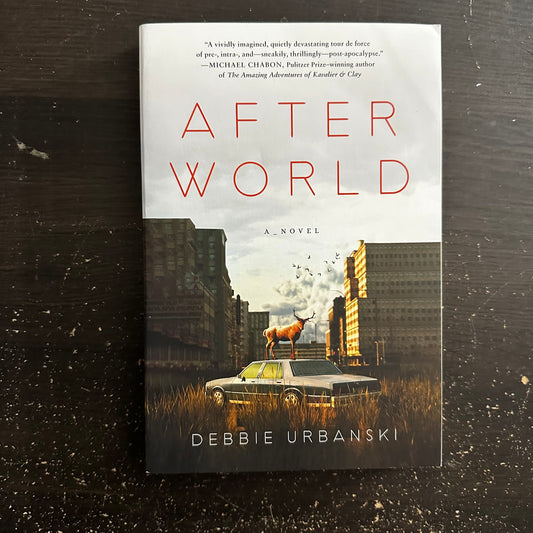 After World by Debbie Urbanski