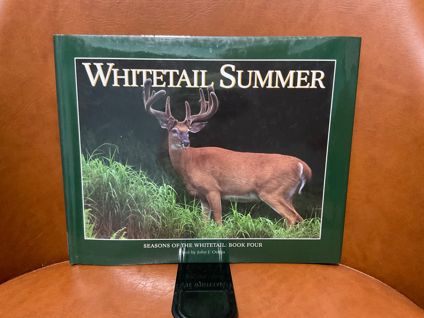 Whitetail Summer by John J. Ozoga