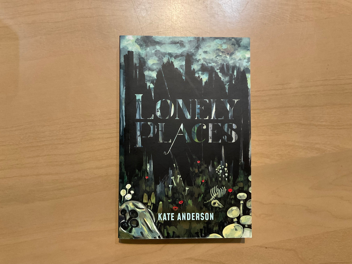 Lonely Places by Kate Anderson
