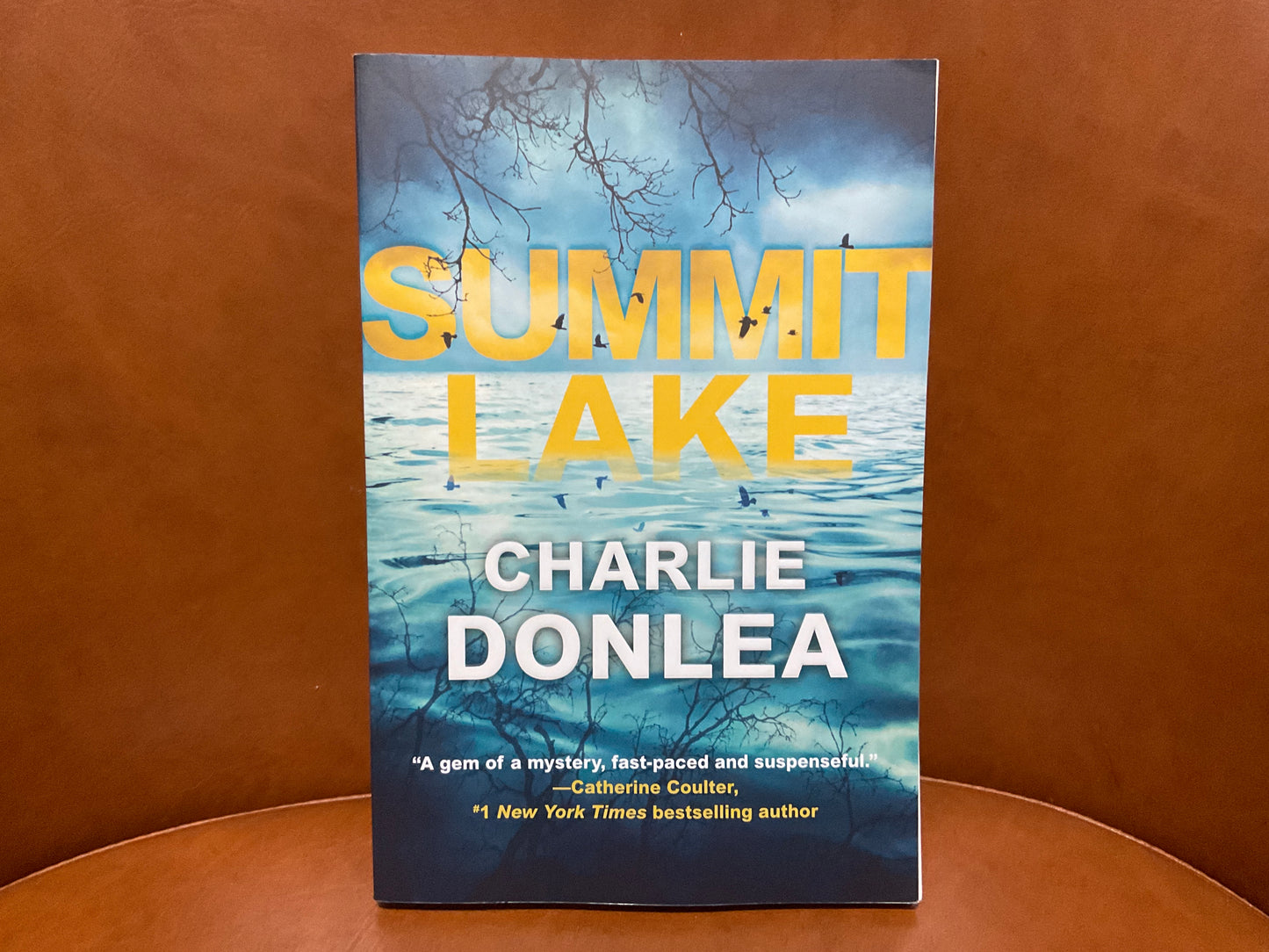 Summit Lake by Charlie Donlea