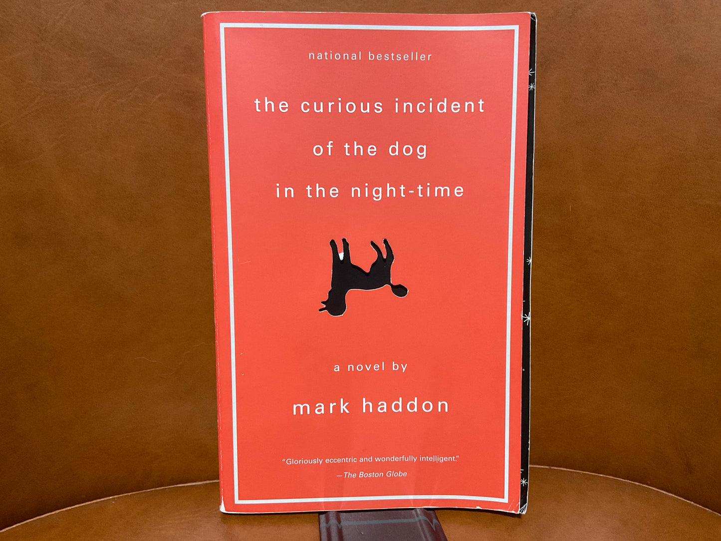 The Curious Incident of the Dog in the Night-Time by Mark Haddon