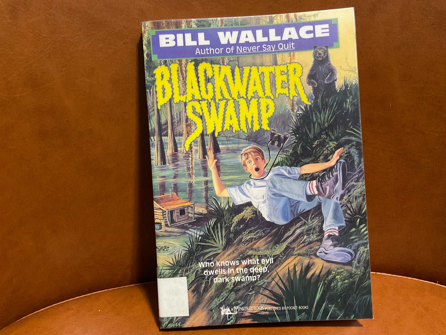 Blackwater Swamp by Bill Wallace