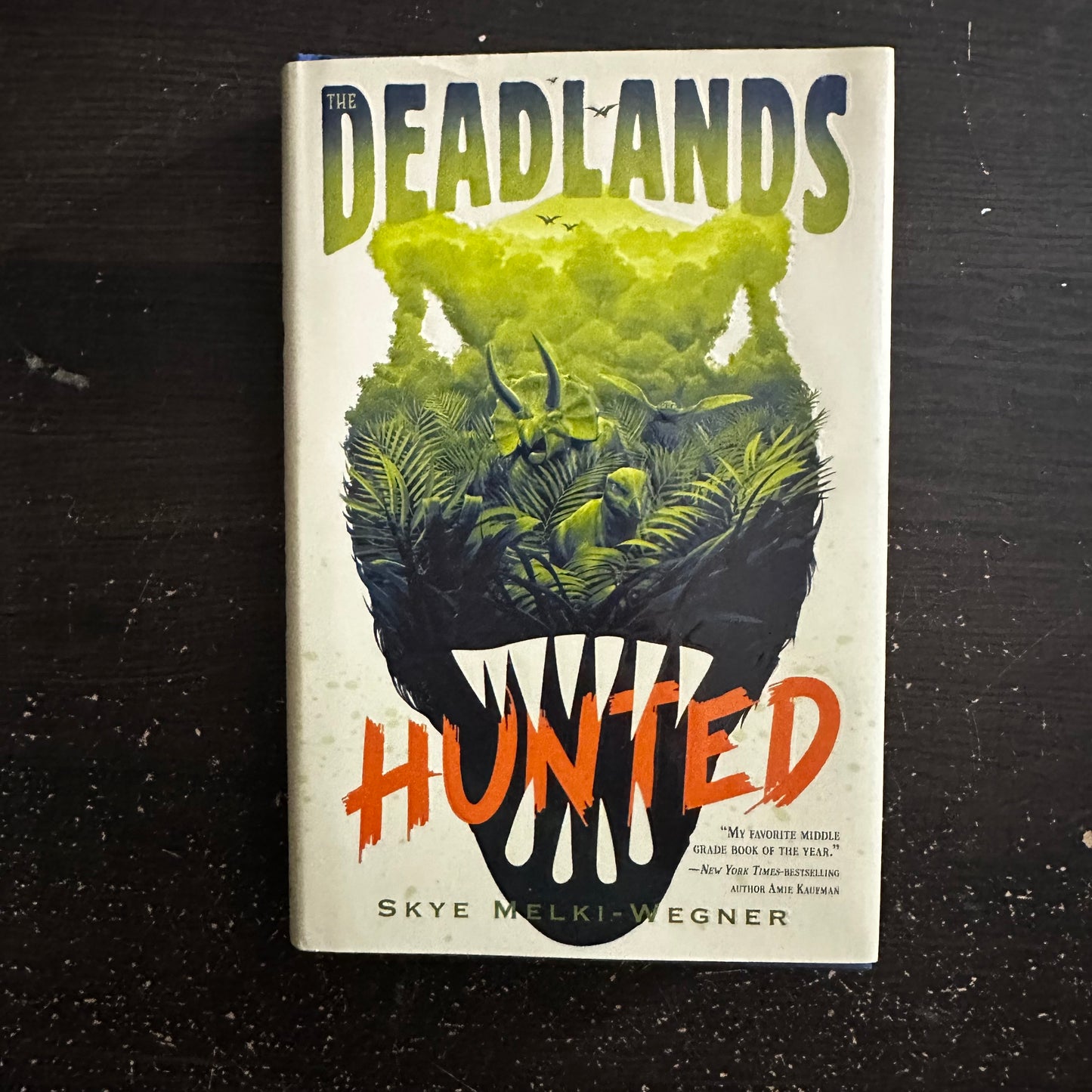 Deadlands Hunted by Skye Melki-Wegner