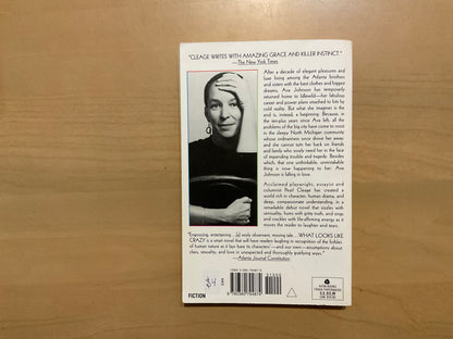 What Looks Like Crazy by Pearl Cleage