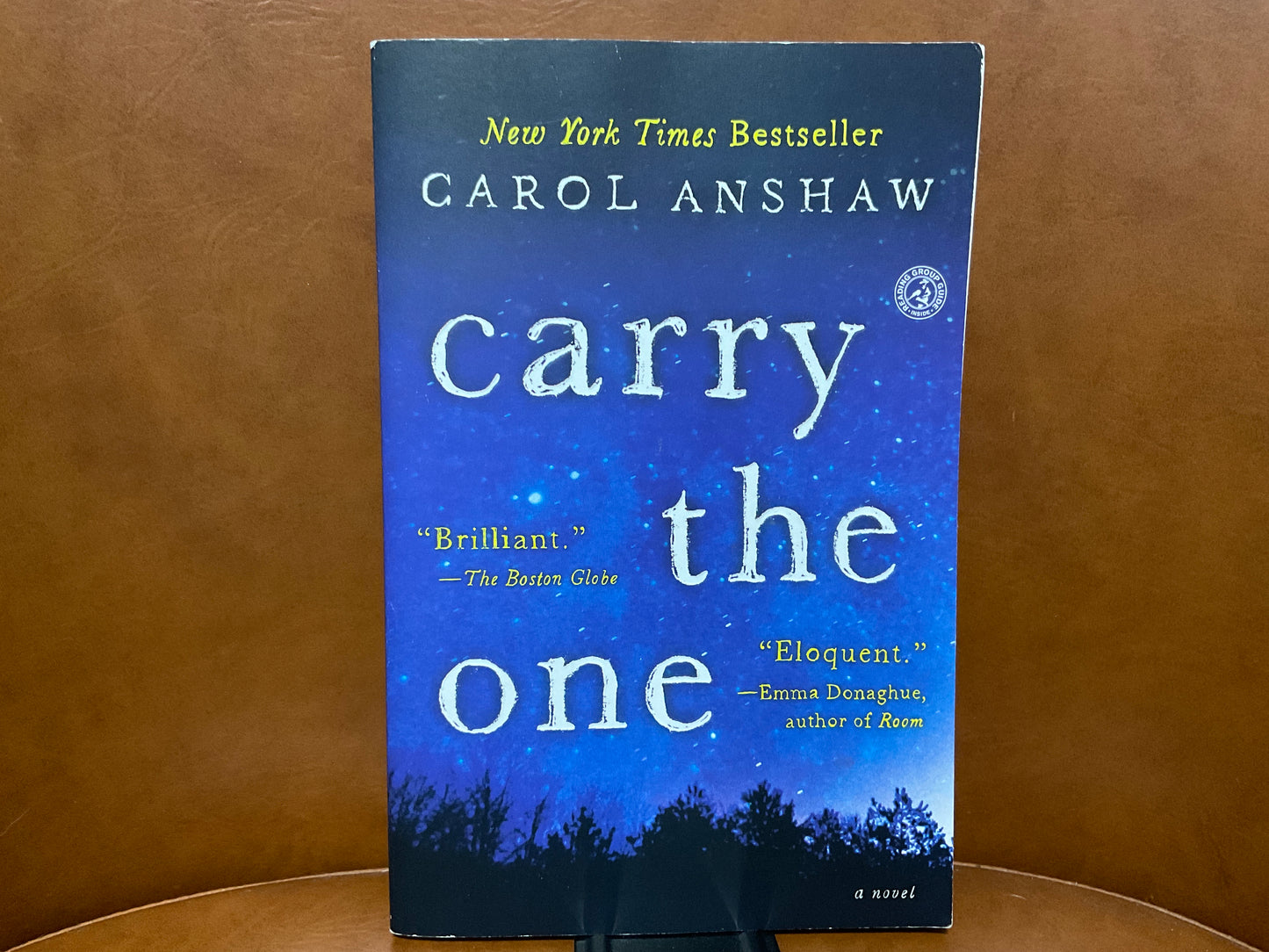 Carry the One by Carol Anshaw