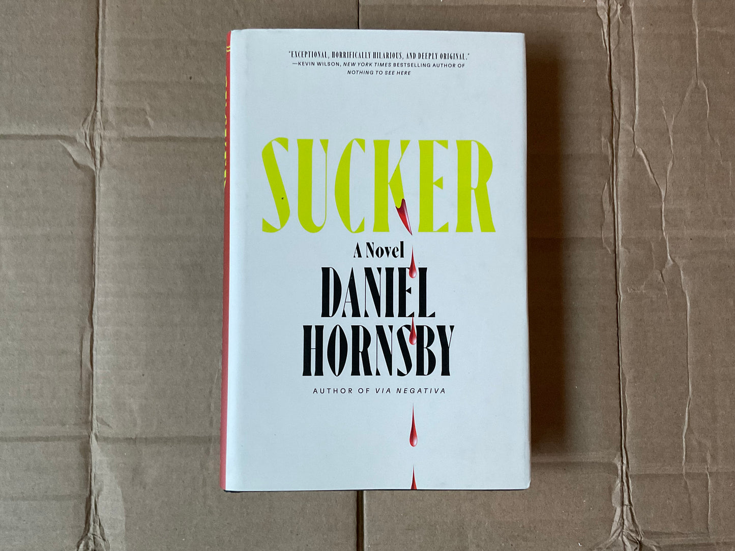 Sucker by Daniel Hornsby