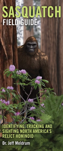 Sasquatch Field Guide Identifying, Tracking and Sighting North America's Great Ape