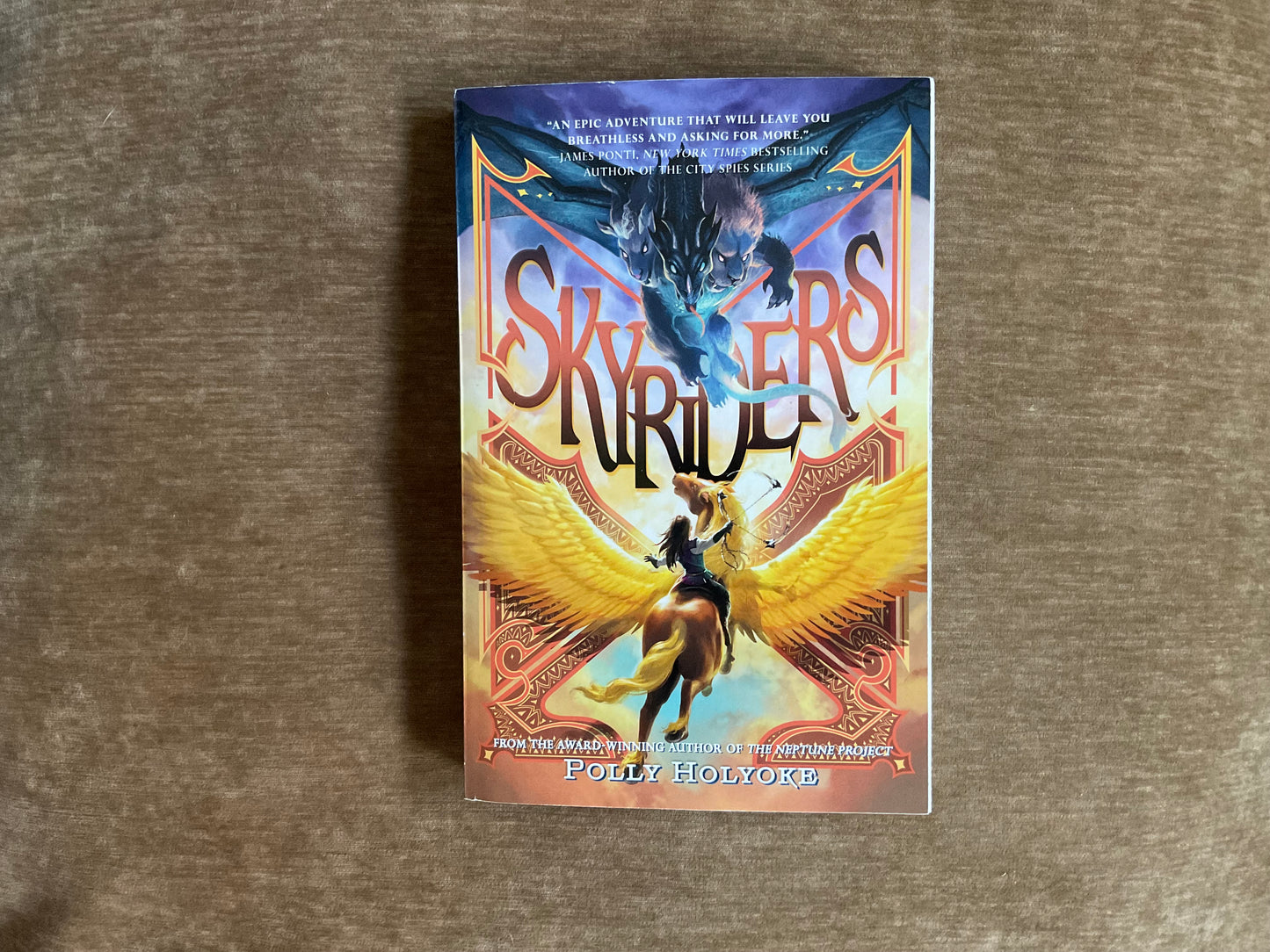 Skyriders by Polly Holyoke