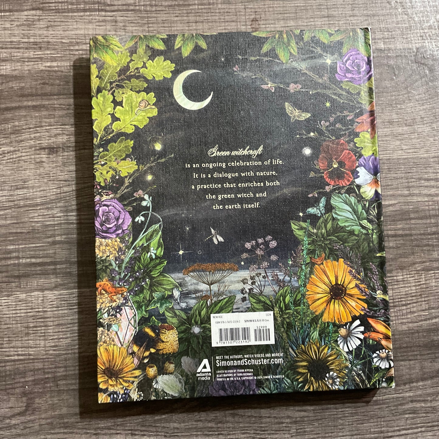 The Green Witch Illustrated by Aron Murphy-Hiscock