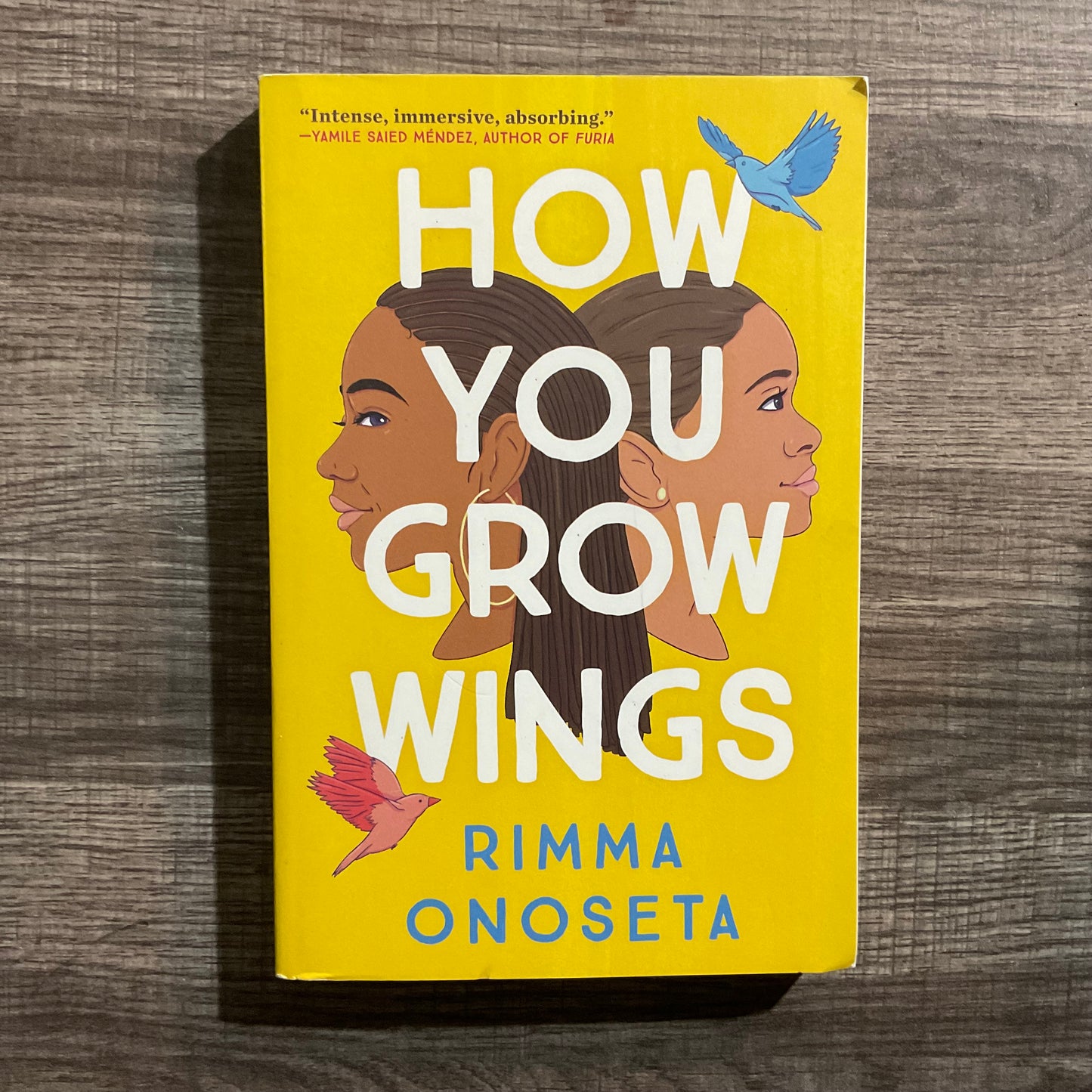 How You Grow Wings by Rimma Onoseta
