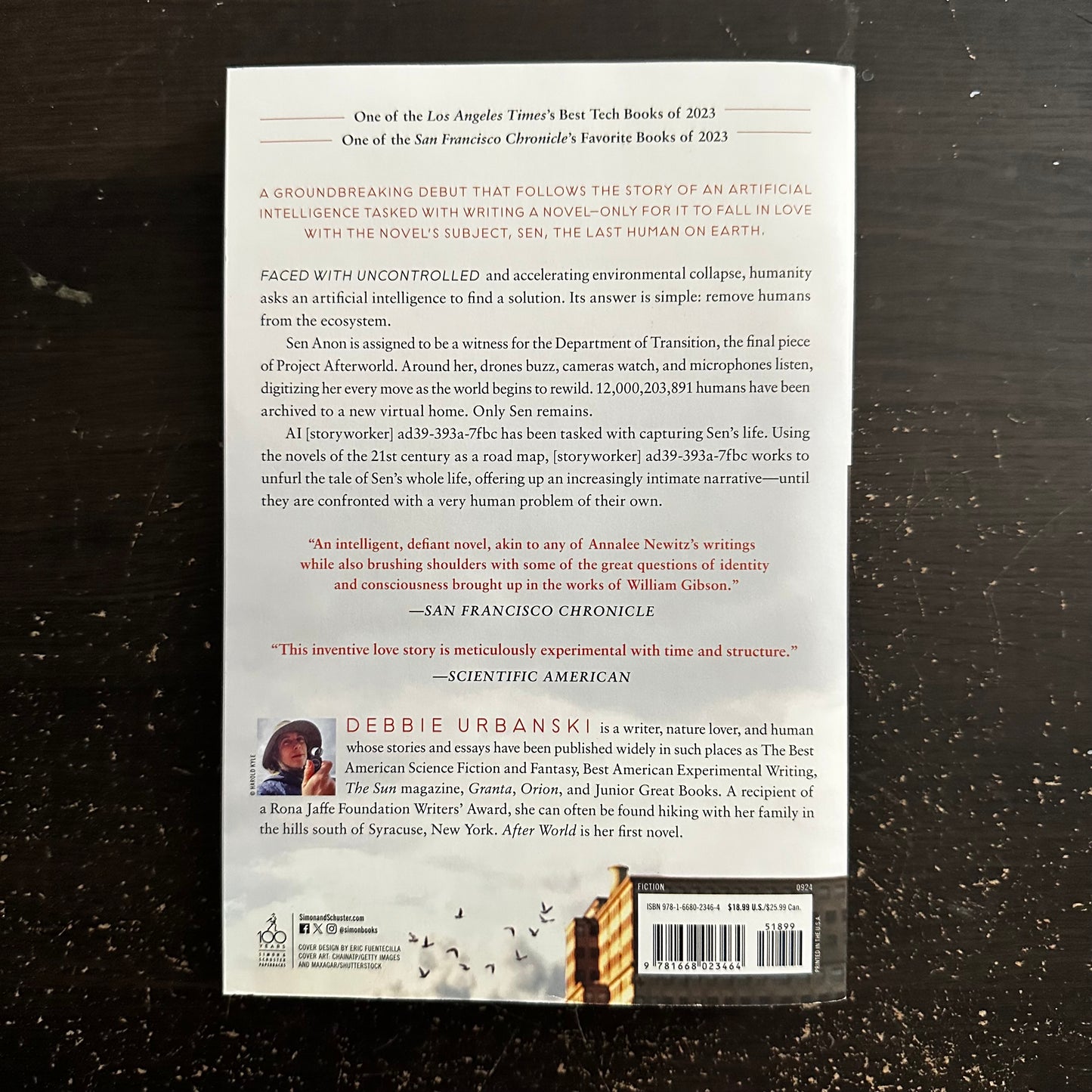 After World by Debbie Urbanski