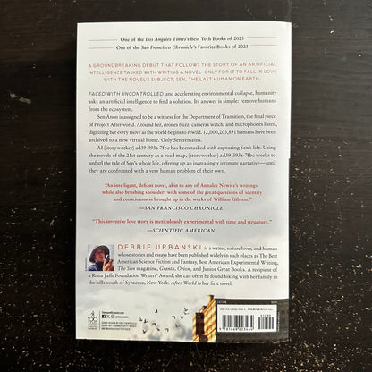 After World by Debbie Urbanski