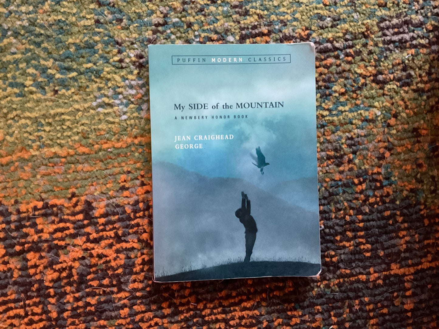 My Side of the Mountain by Jean Craighead George