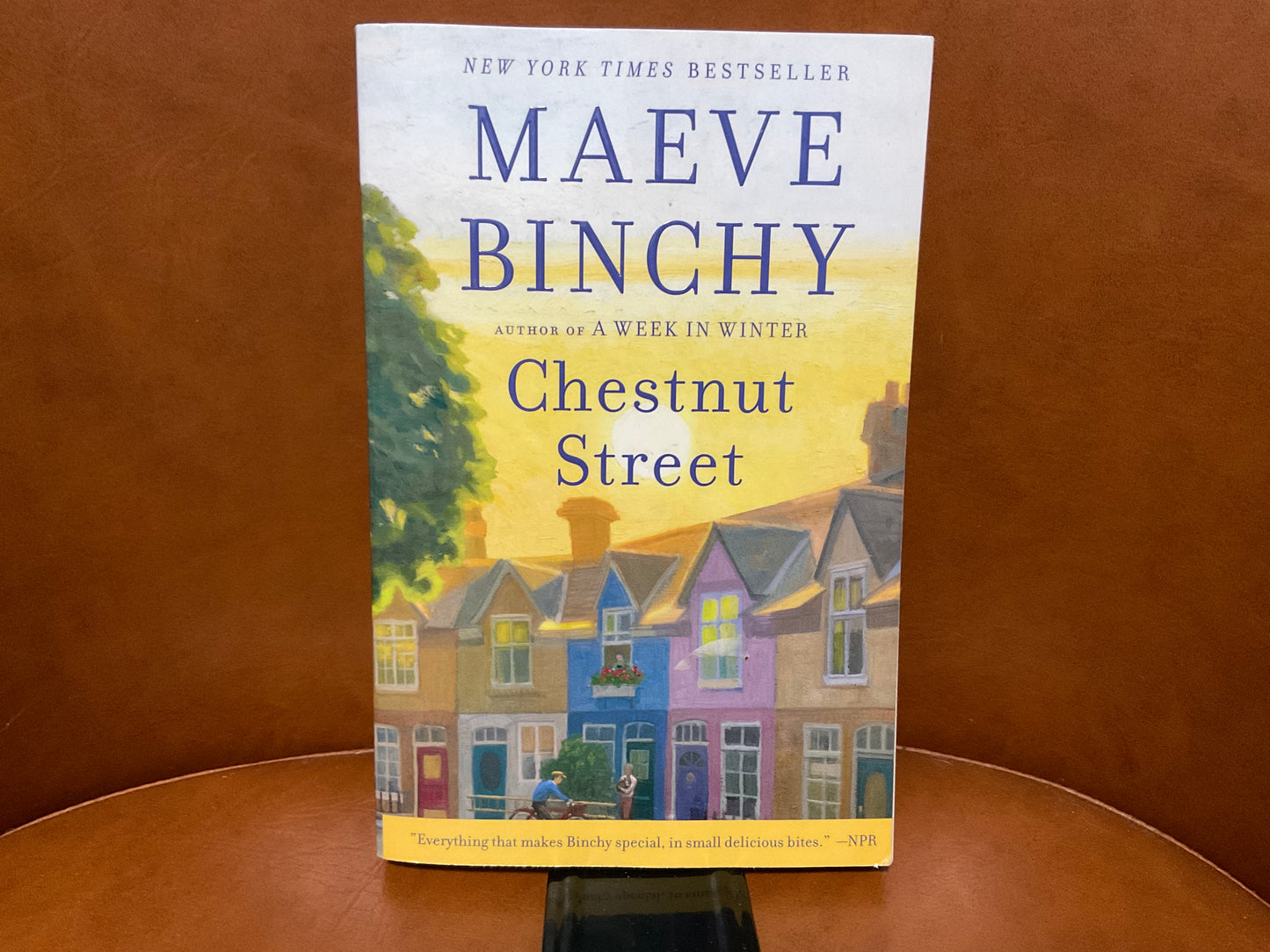 Chestnut Street by Maeve Binchy