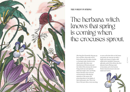 Herbana Witch: A Year in the Forest (Wheel of the Year Book)