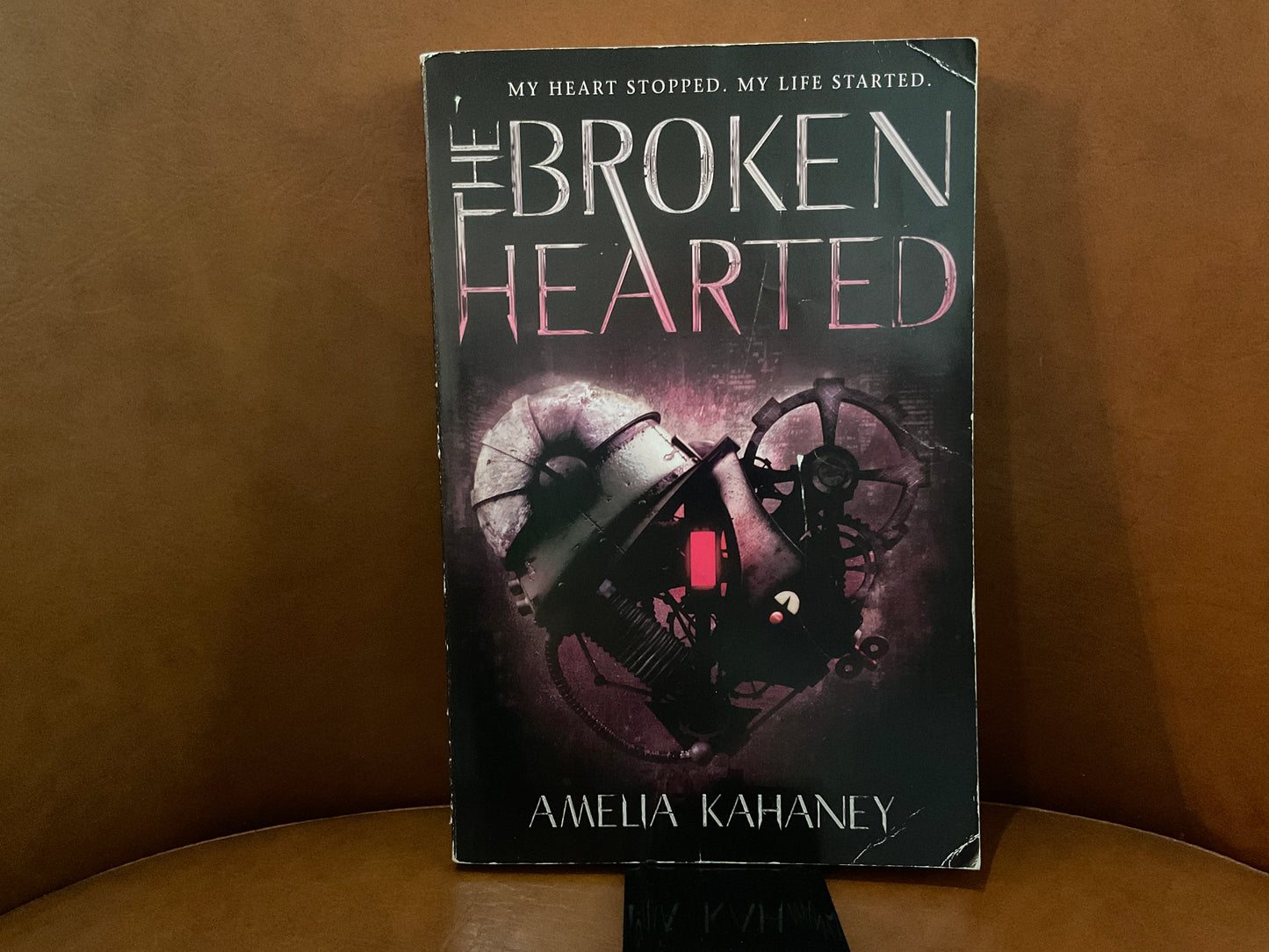 The Broken Hearted by Amelia Kahaney