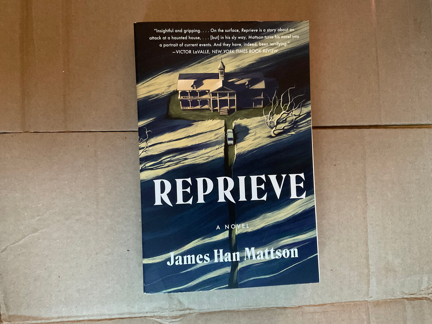 Reprieve by James Hans Mattson