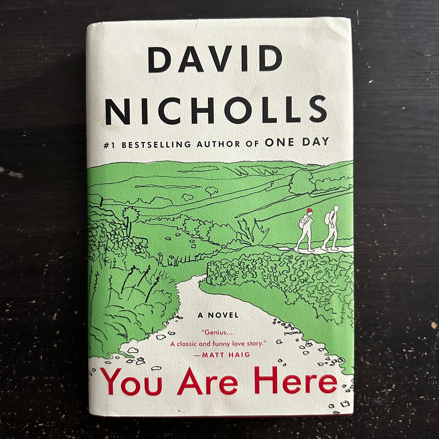 You Are Here by David Nicholls