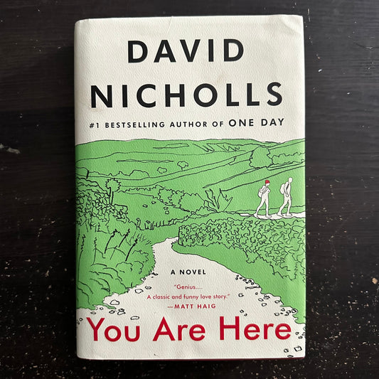 You Are Here by David Nicholls