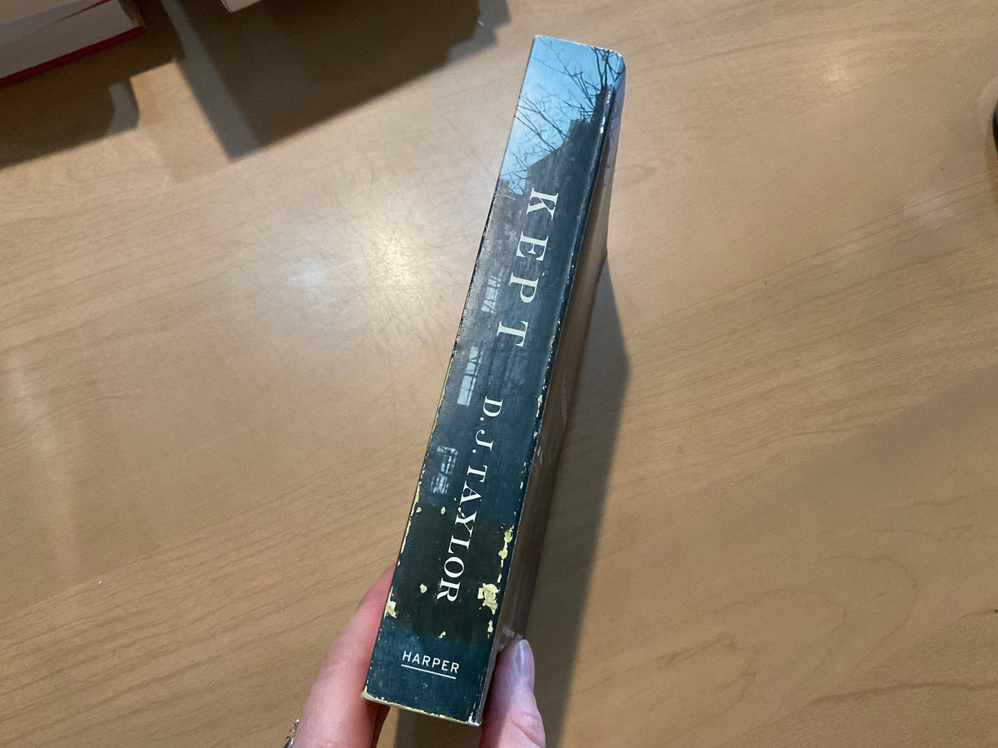 Kept by D. J. Taylor