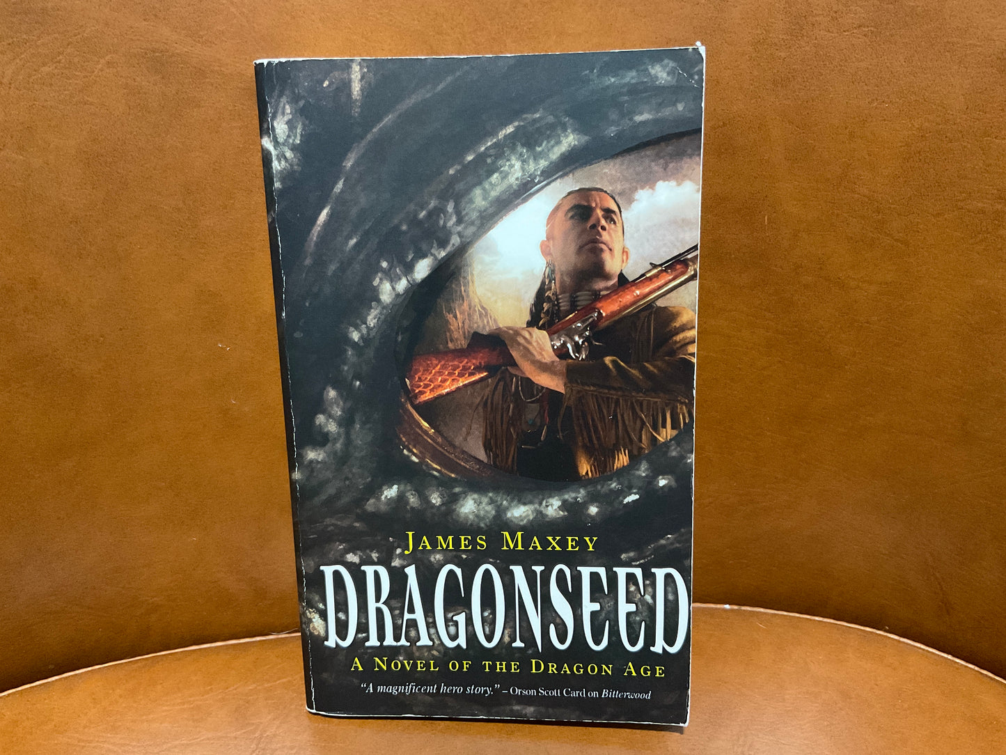 Dragonseed by James Maxey (Dragon Age novel)