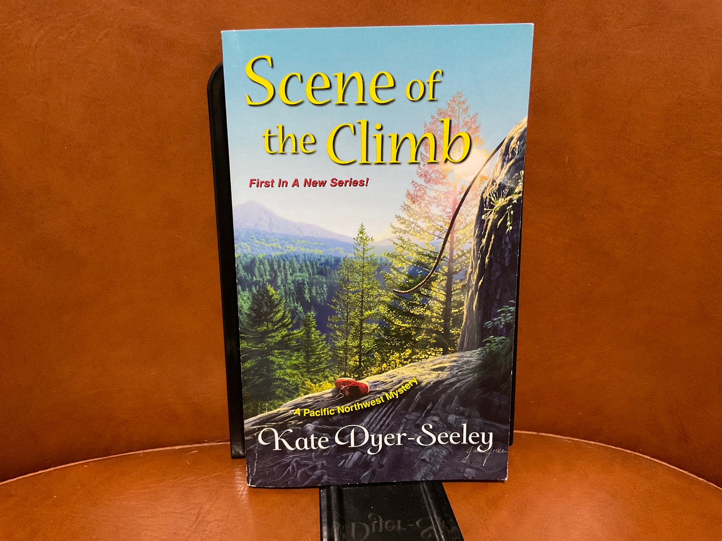 Scene of the Climb by Kate Dyer-Seeley