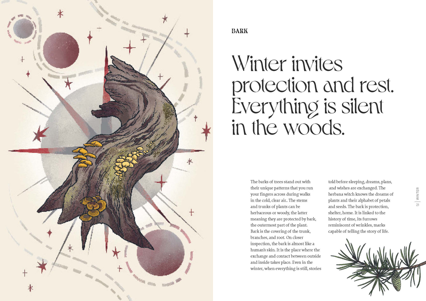 Herbana Witch: A Year in the Forest (Wheel of the Year Book)