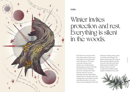 Herbana Witch: A Year in the Forest (Wheel of the Year Book)
