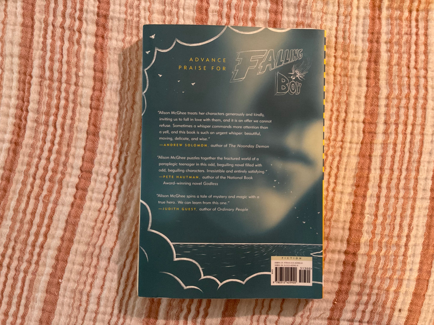 Falling Boy by Alison McGhee