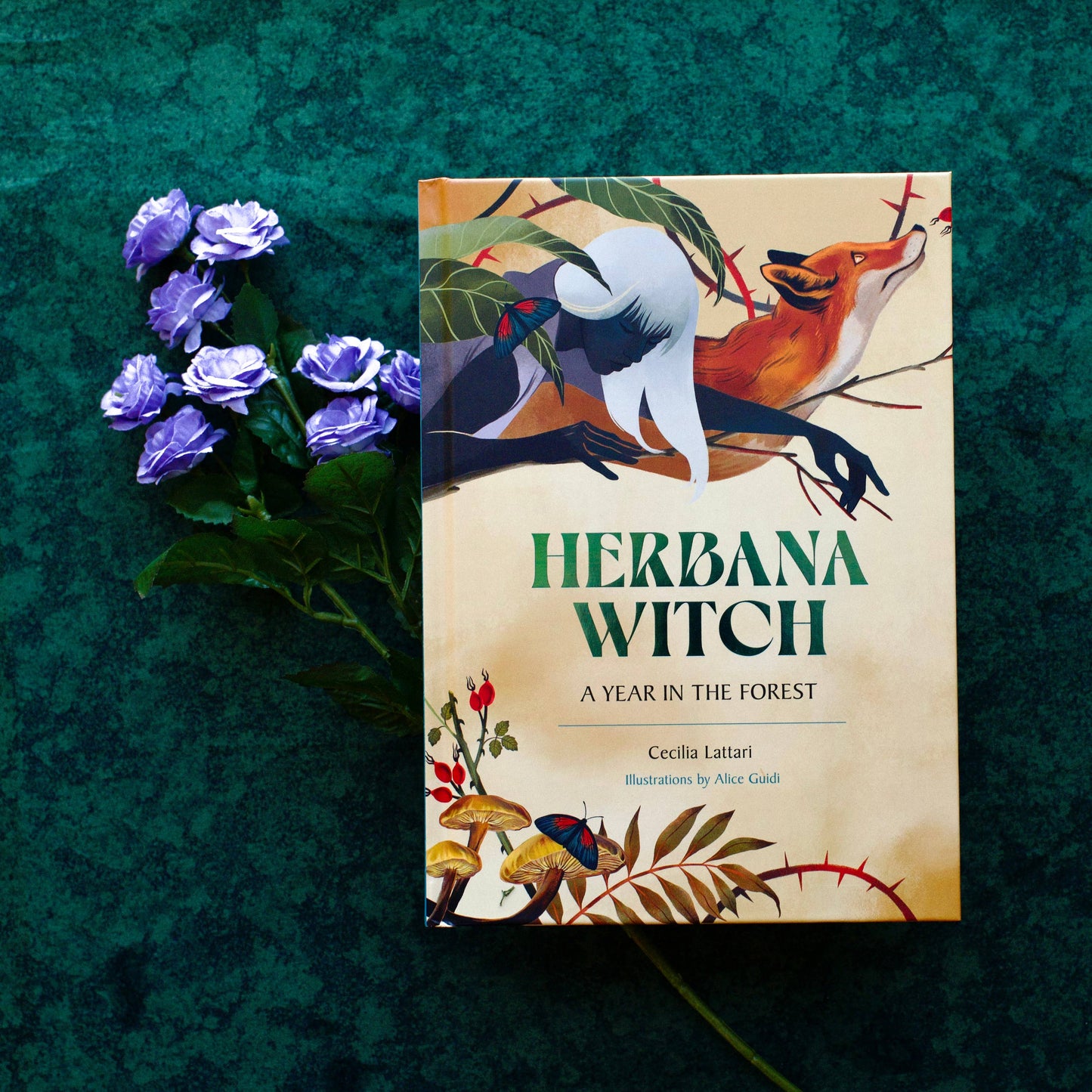 Herbana Witch: A Year in the Forest (Wheel of the Year Book)